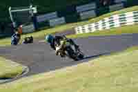 Evening Adv_Mid Group Yellow Bikes